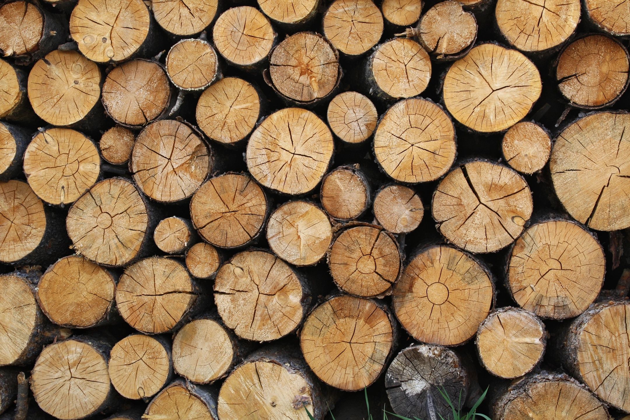 close up of stacked wood logs